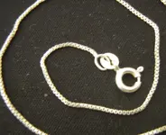Silver Chain.webp