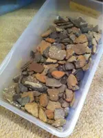 image-2835030226.webp