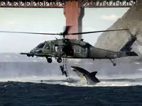 great_white_helicopter_jump.webp great_white_helicopter_jump.webp