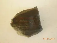 DSCN4021.webp