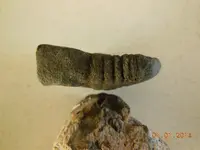 DSCN4022.webp