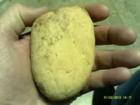 DSCF0001.webp