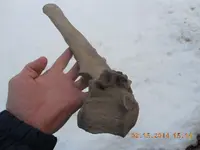 DSCN3740.webp