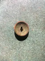 Button1.webp