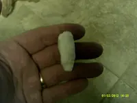 DSCF0011.webp