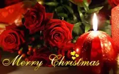 images_072.webp
