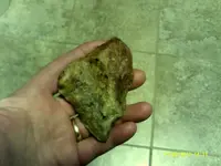 DSCF0018.webp