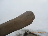 DSCN3742.webp