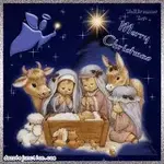 images_074.webp