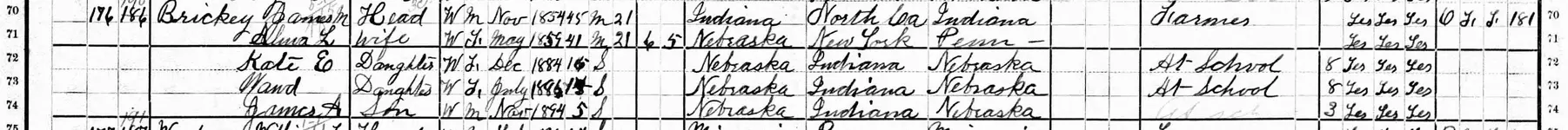 1900UnitedStatesFederalCensusForJamesABrickey-1 s.webp