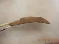 DSCN3726.webp