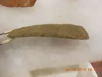 DSCN3724.webp