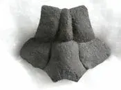 TurtleShellFossil2.webp