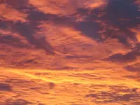 DSC00667.webp