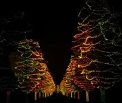 light up driveway.webp