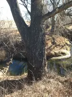 image-3614091849.webp