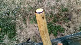DSCF0009.webp
