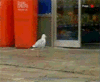 shoplifting.gif