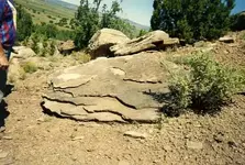 img035.webp