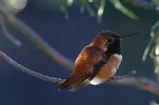 marsh 7 - 3 - 7 065_RT8.webp
