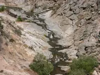 DSCN0016.webp