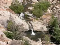 DSCN0015.webp