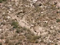 DSCN0021.webp