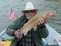 Wild steelhead.webp