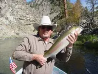 Wild steelhead 2.webp
