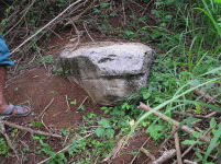 P1010319.GIF