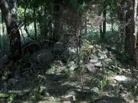 jspn_HPIM0598.webp