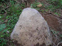 P1010321.GIF