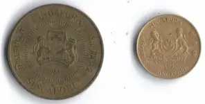 July 7 finds 3.webp