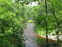 IMG_0347_1.webp