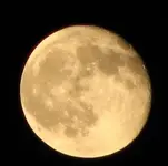 moon 1.webp