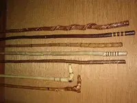 Fossils.webp