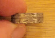 Ring1a.webp