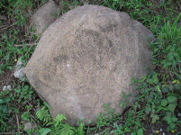 P1010330.GIF