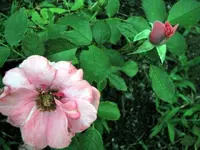 post pics 005.webp