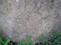 P1010331.GIF