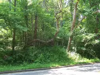 132843599108_0_BG.webp