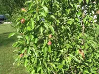 post pics 003.webp