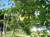 post pics 004.webp