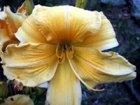 post pics 007.webp