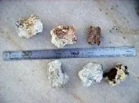 pellets-rough.webp
