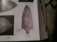 Adena_Narrow_Stem 1.webp