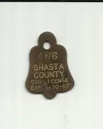 dog tag.webp