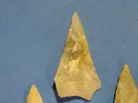DSCN0099.webp