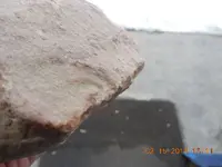 DSCN3737.webp