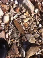 image-1646808175.webp